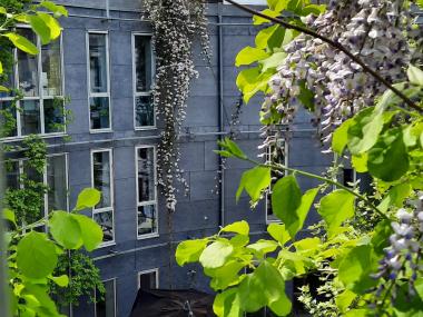 Børnehuset Svanemøllen